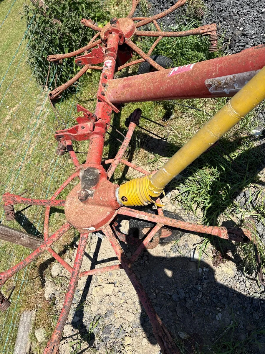 Haybobs lely - Image 3