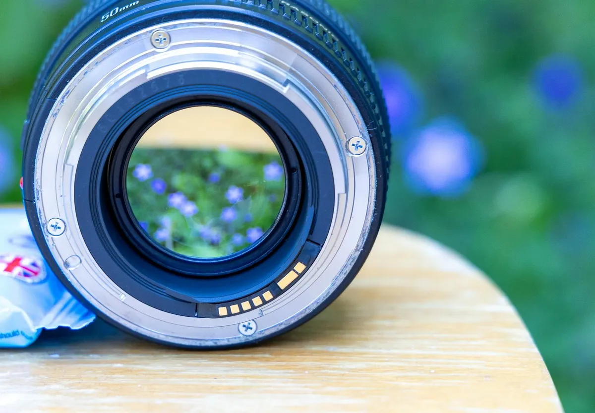Canon EF 50mm f1.4L USM  - rarely used - Image 3