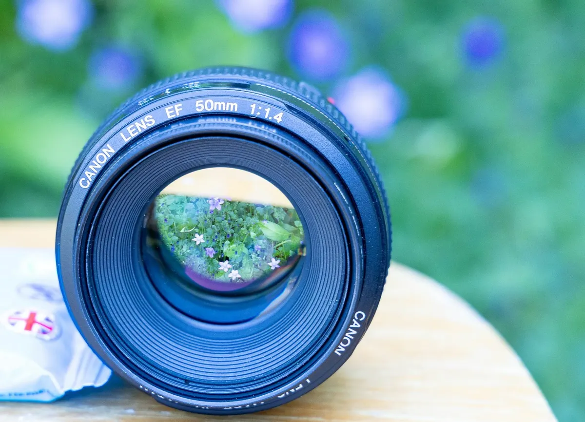 Canon EF 50mm f1.4L USM  - rarely used - Image 4