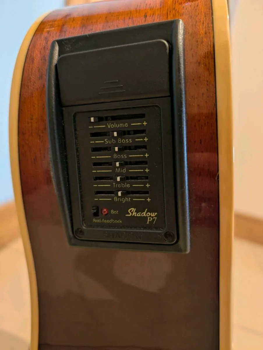 SX DG180CE Eletro-Acoustic Guitar - Image 4
