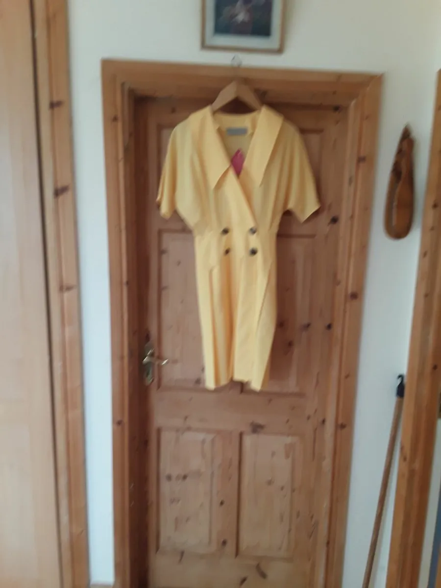 Lovely new lemon vintage dress size 10 - Image 1