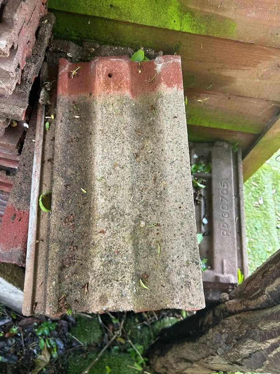500 Roof Tiles - Image 4