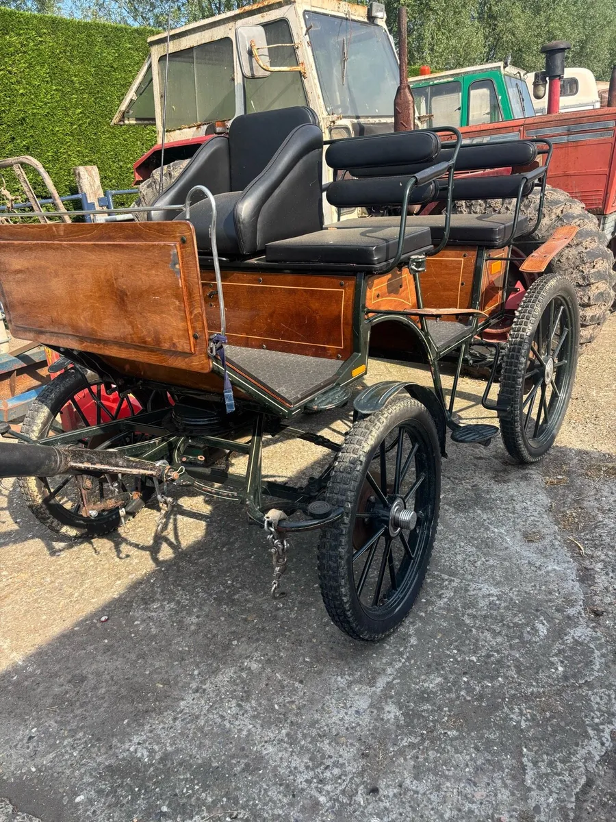 Carriage - Image 2