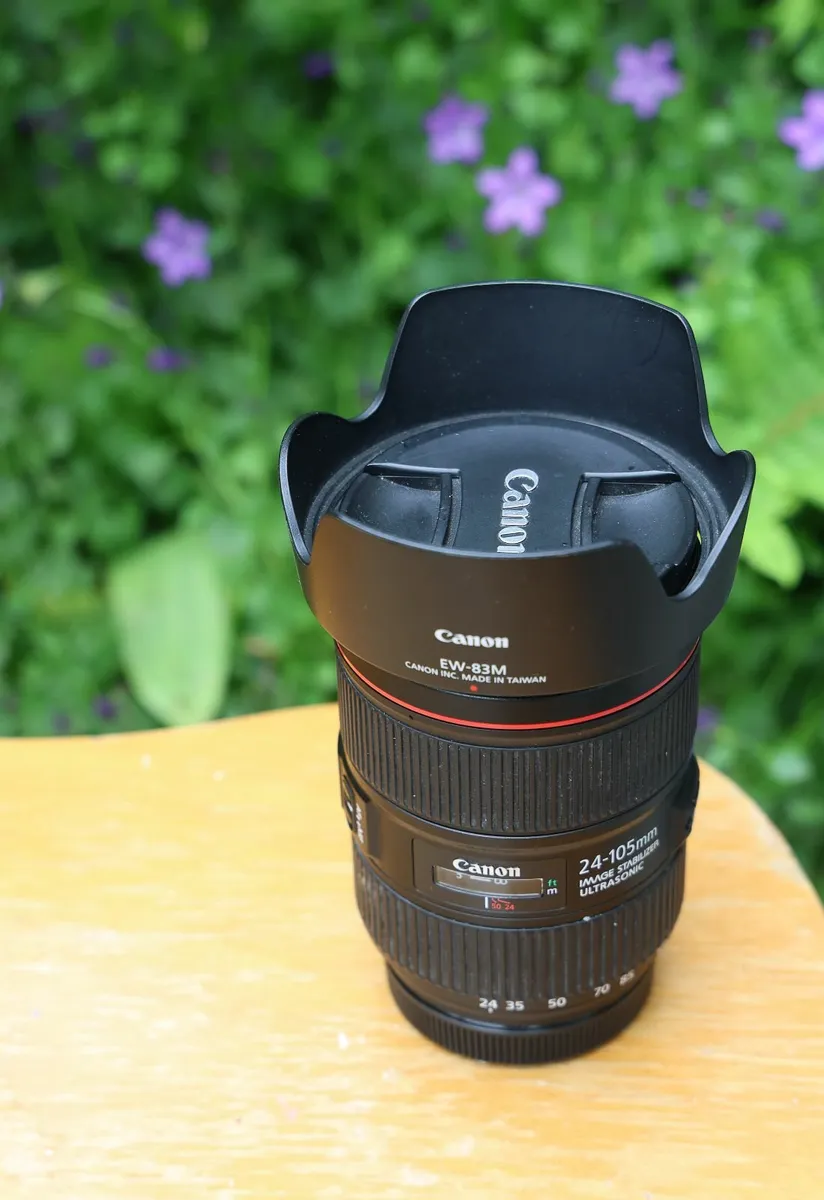 Canon EF 24-105mm f4L IS II USM - Image 3