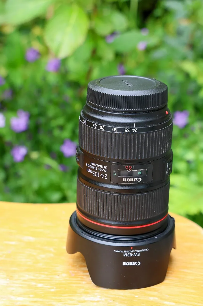Canon EF 24-105mm f4L IS II USM - Image 4
