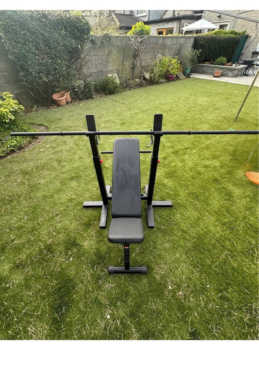 Manual bench press and bicep curl bars with plates - Image 1