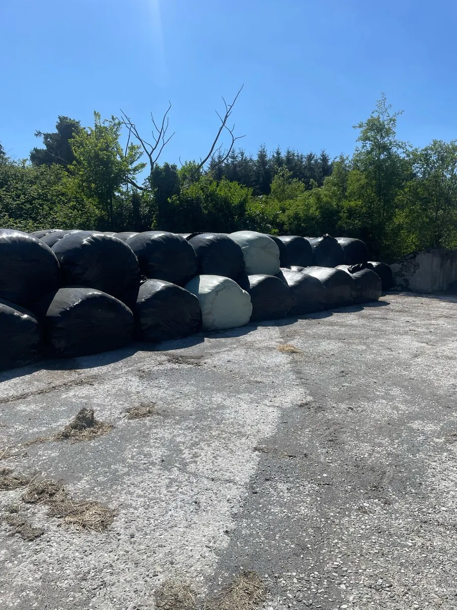 Bales of silage - Image 1