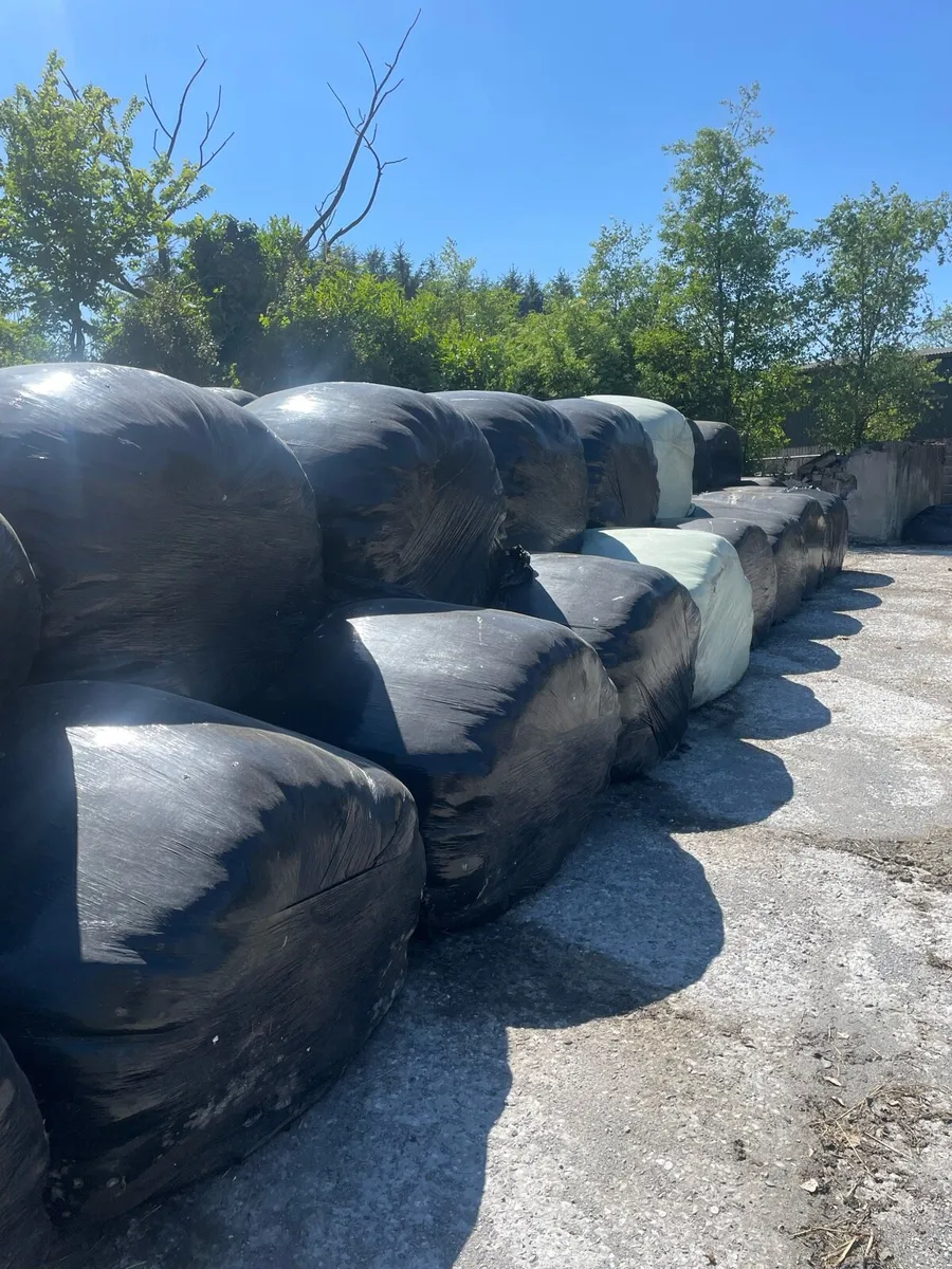 Bales of silage - Image 2