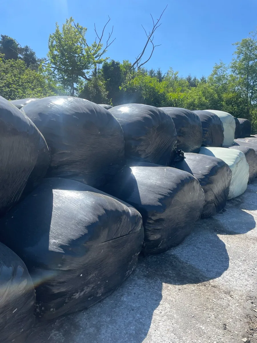 Bales of silage - Image 3