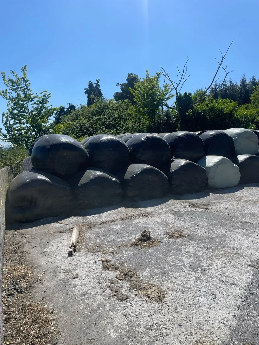 Bales of silage - Image 4