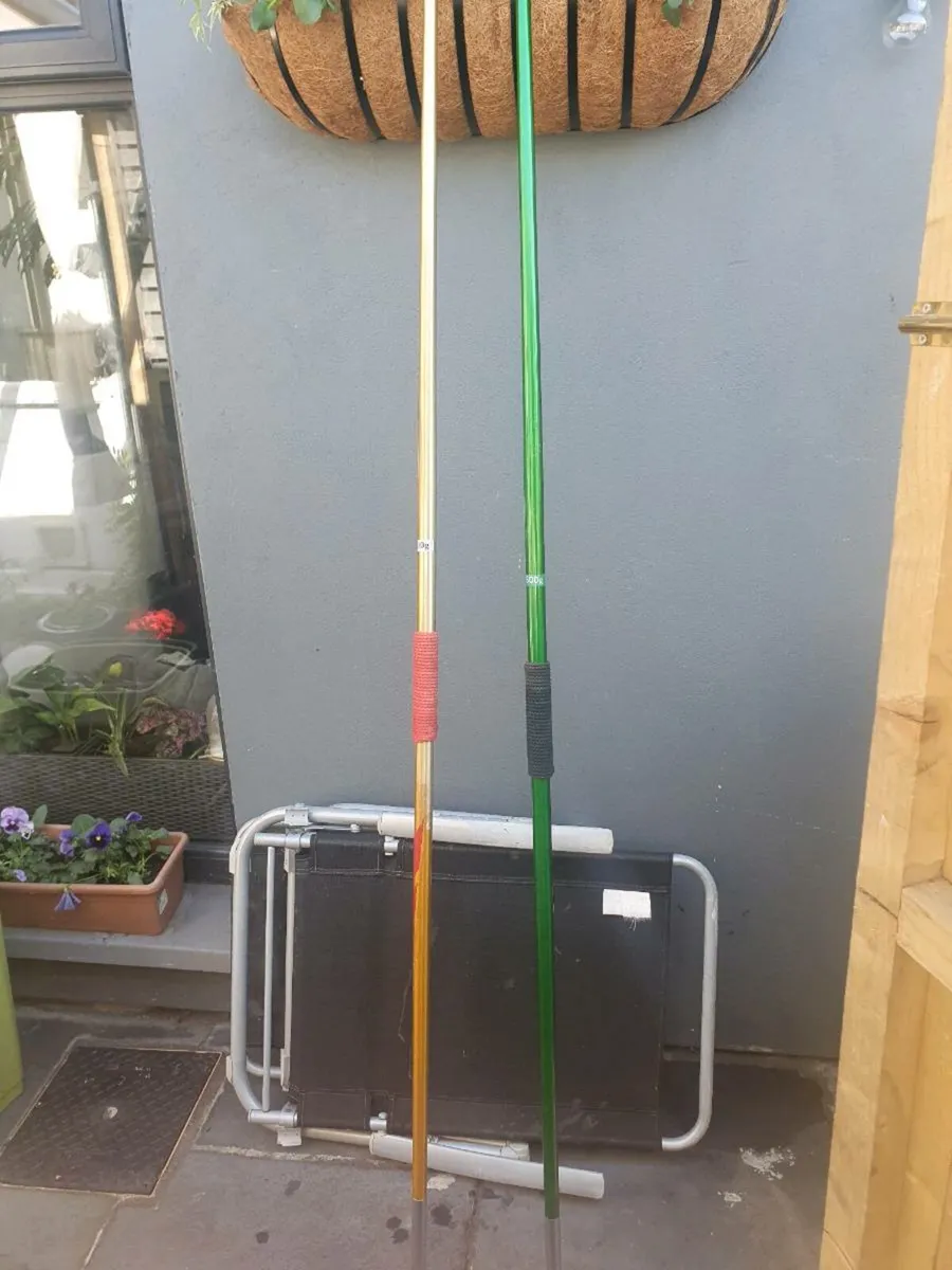 A pair of javelins - Image 1