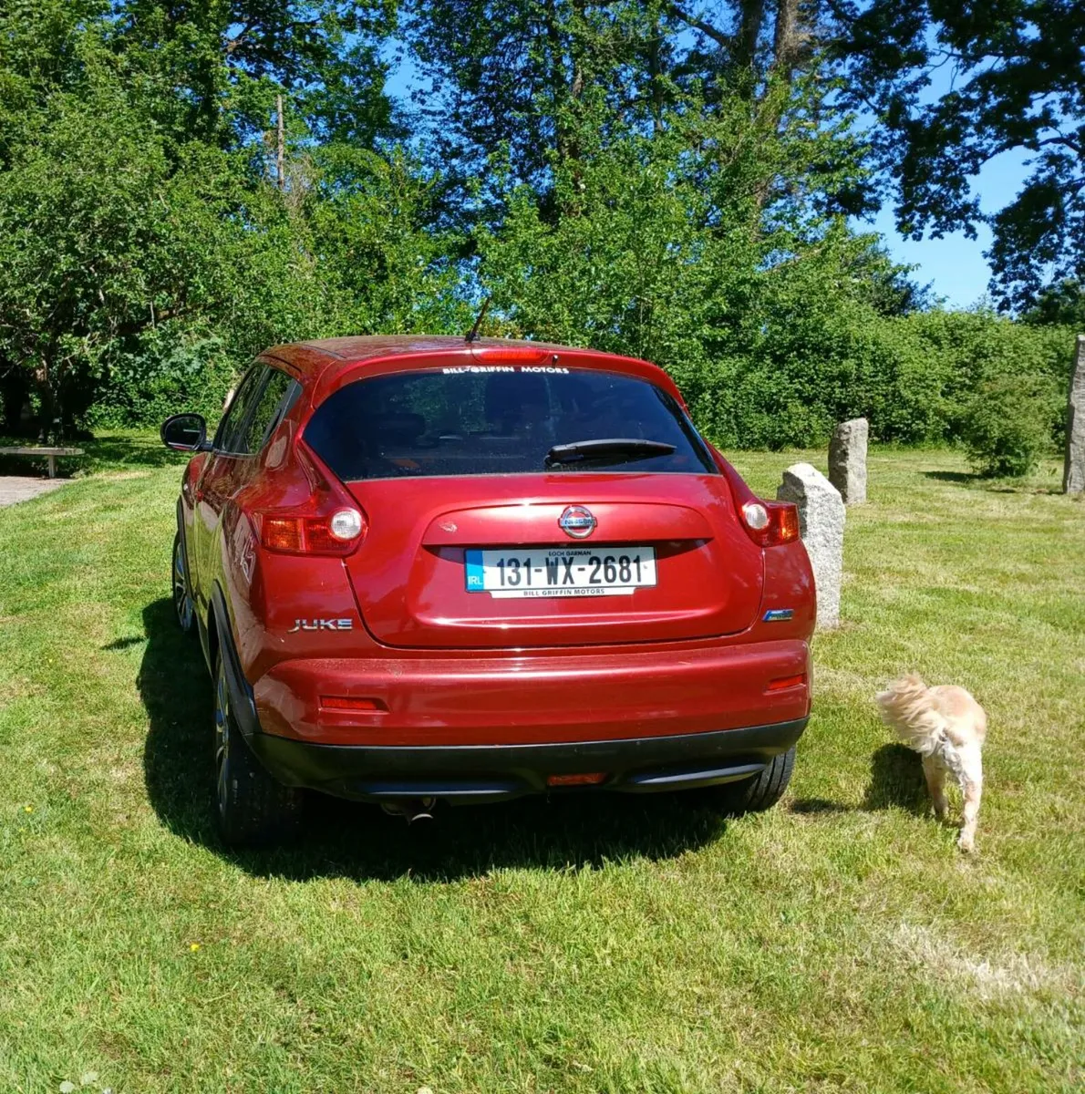 131 Nissan Juke Tekna - Image 4