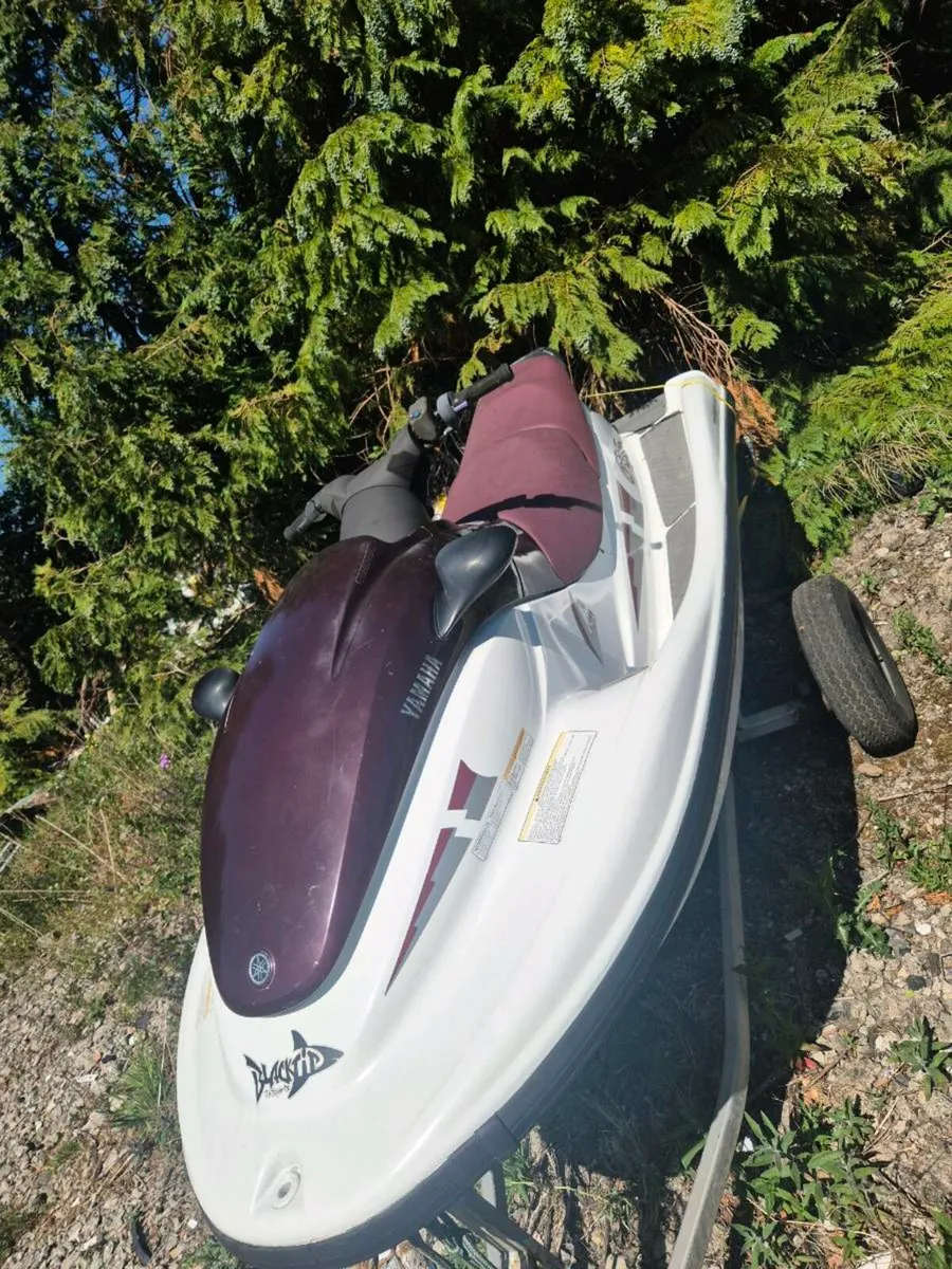 Xlt 800 - Image 3
