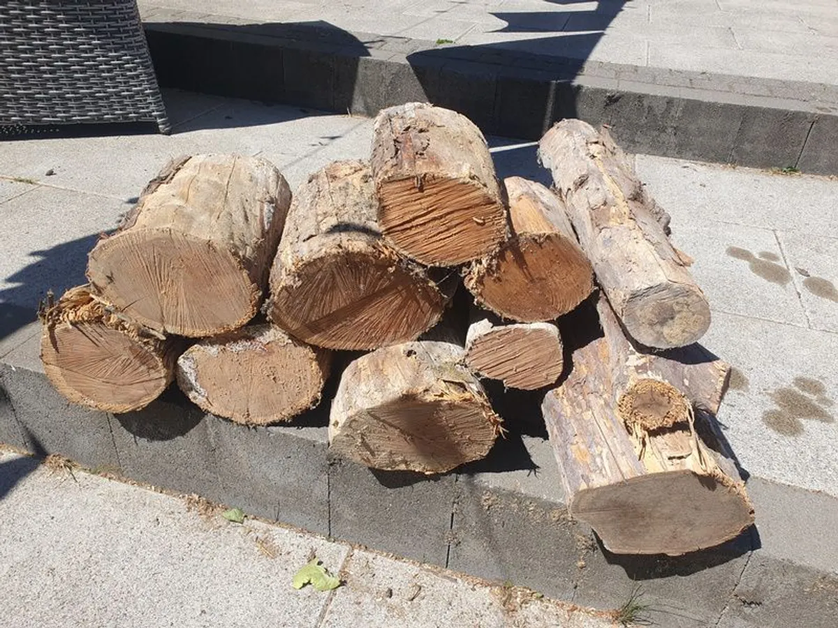 Yew Woodturning Blanks - Image 1
