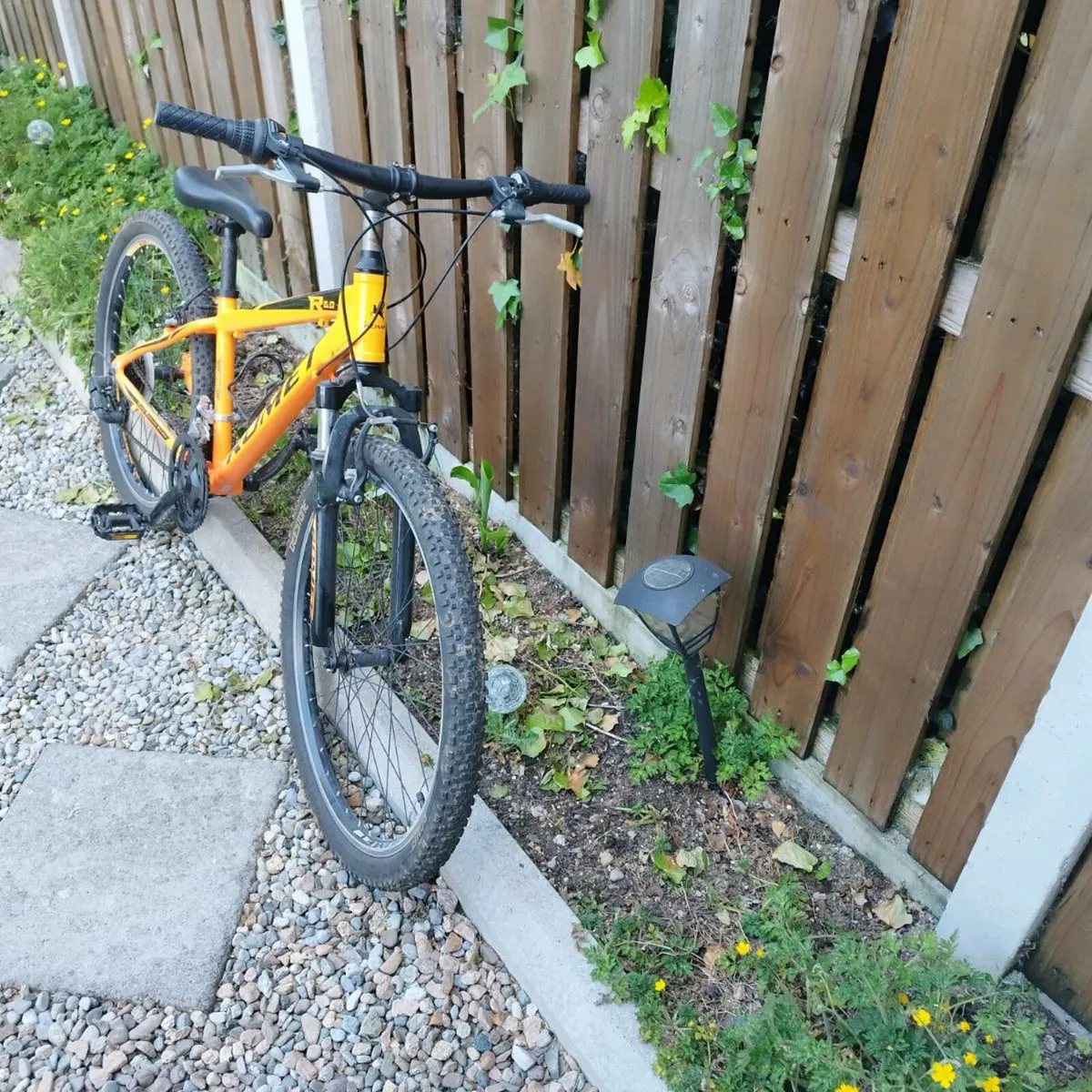 Bicycle - Image 2