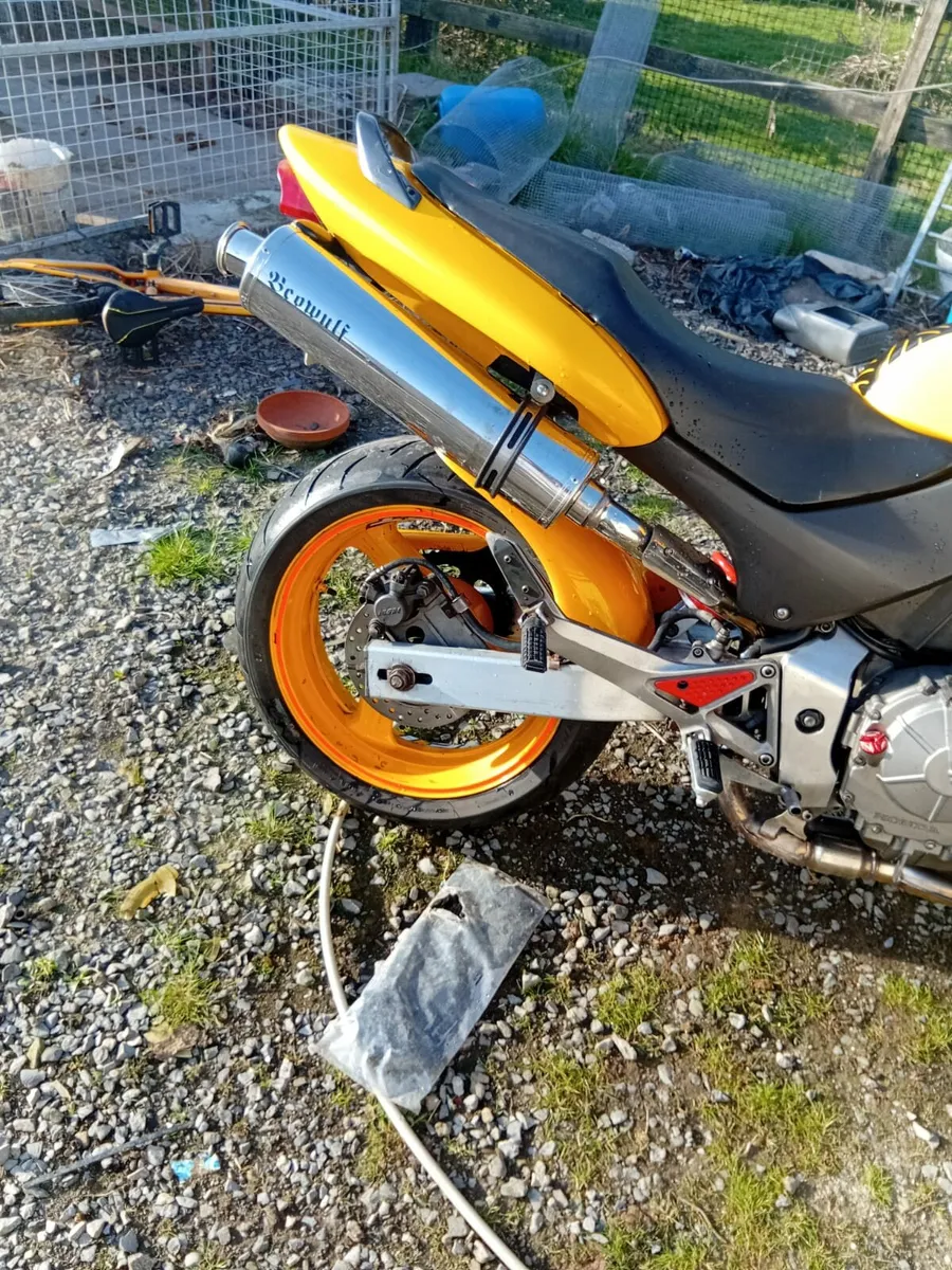 Honda hornet - Image 1