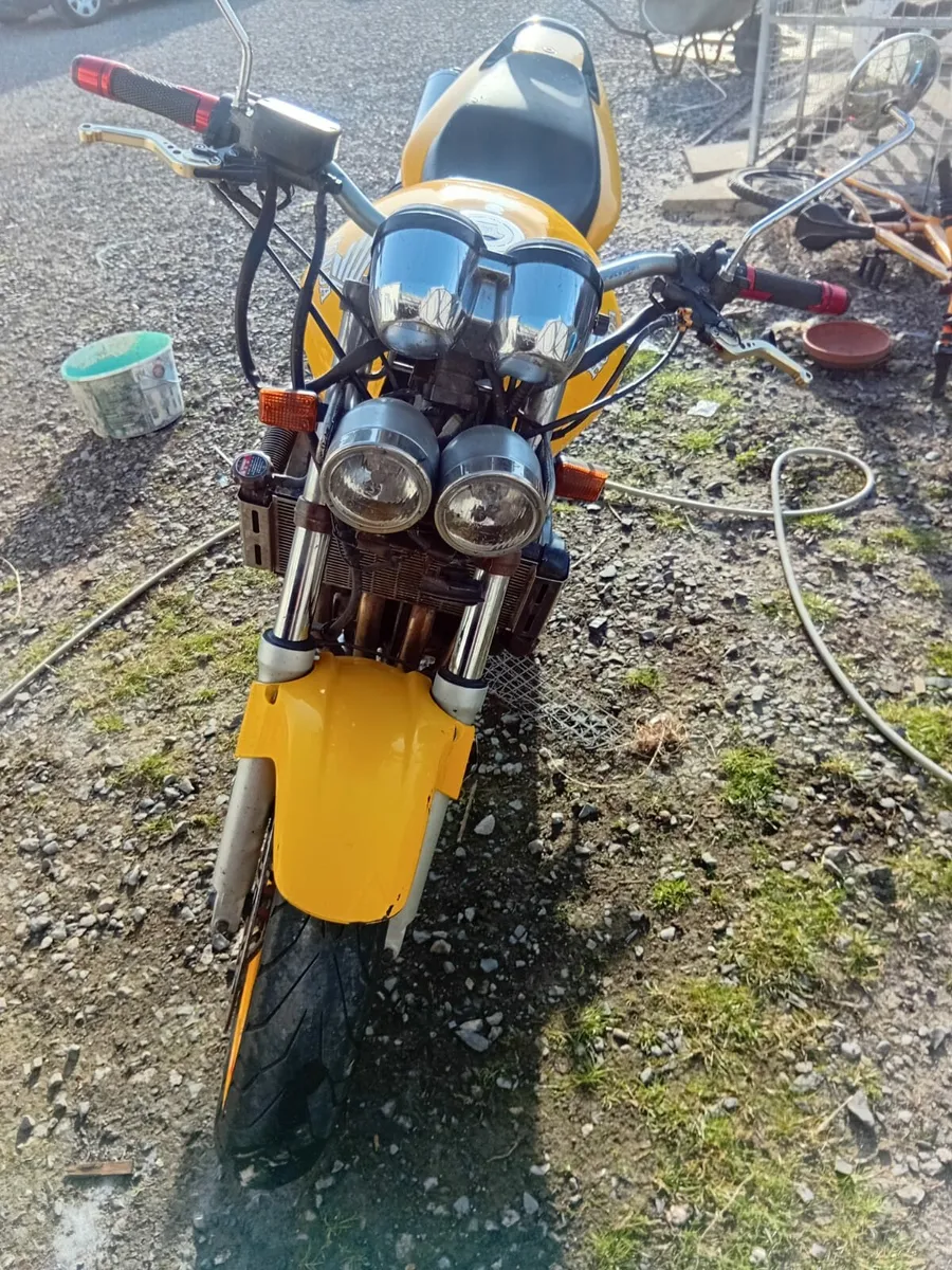 Honda hornet - Image 3