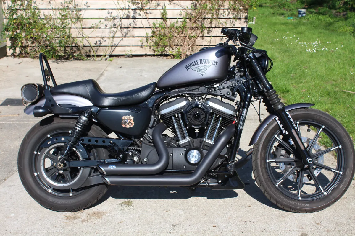 2016 Harley sportster 883 Iron - Image 1