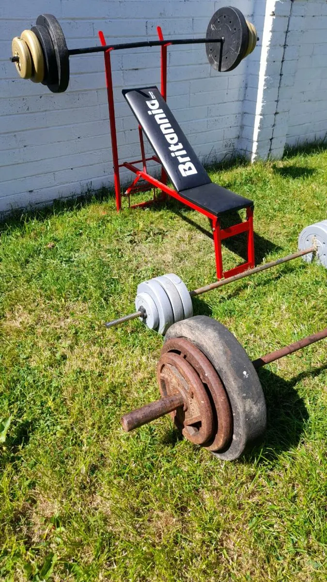Weights & bench altogether for sale - Image 3