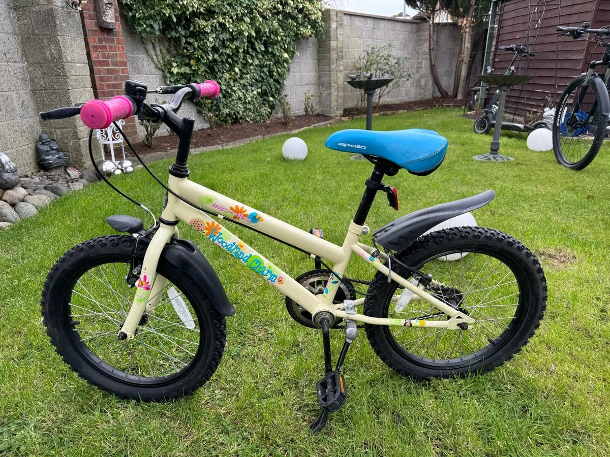 Bike - Image 1