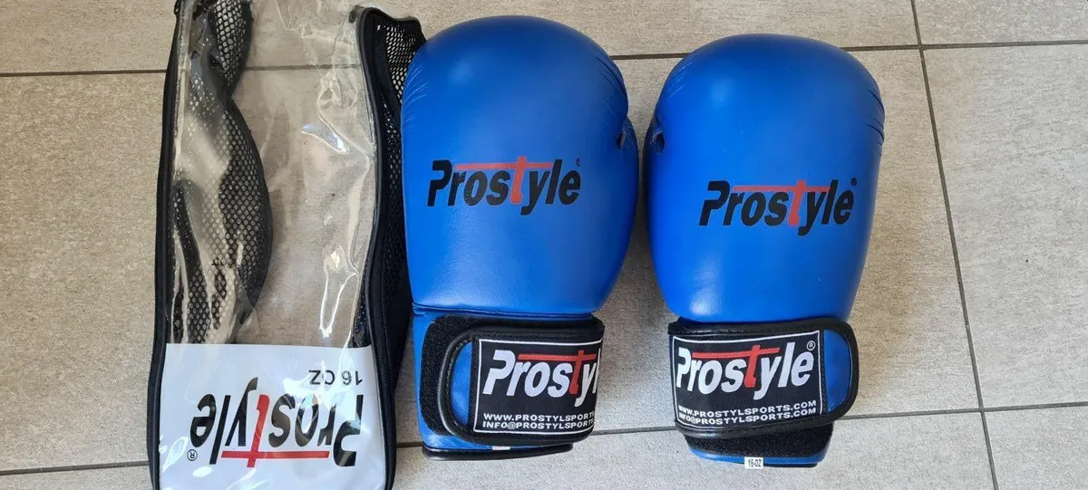Boxing Gloves - Image 1