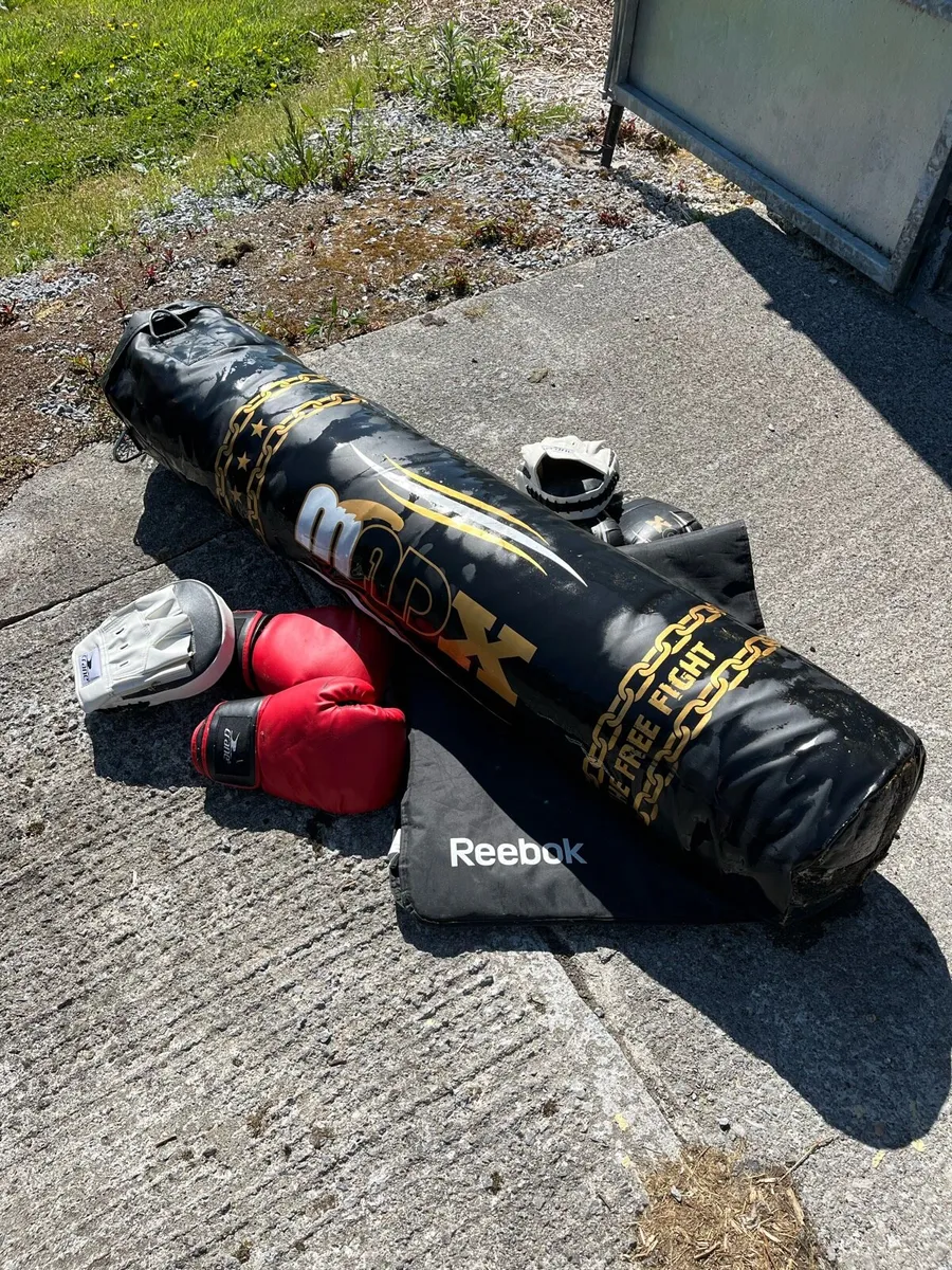 Punch bag and gloves - Image 1