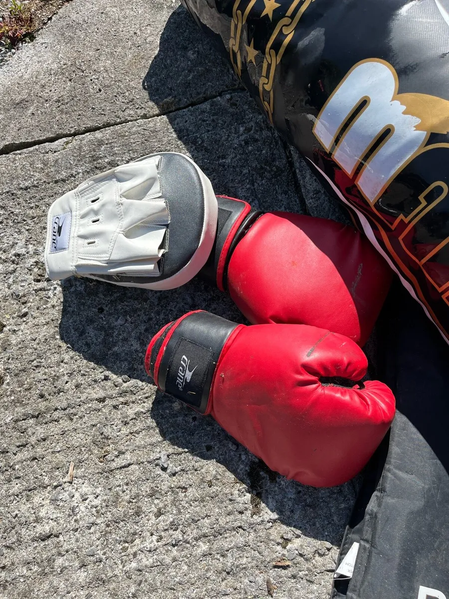 Punch bag and gloves - Image 2