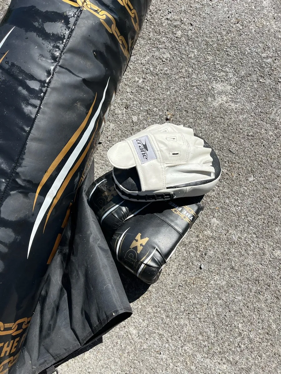 Punch bag and gloves - Image 3