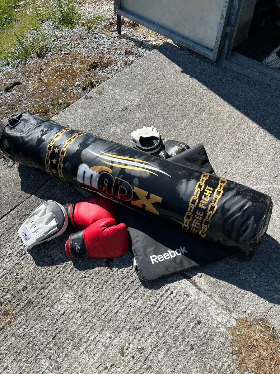 Punch bag and gloves - Image 4