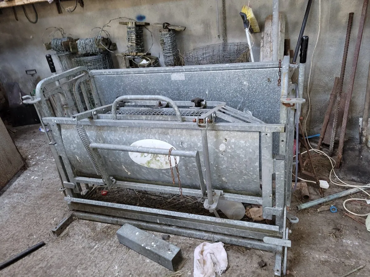 Sheep Weighing Scale - Image 1