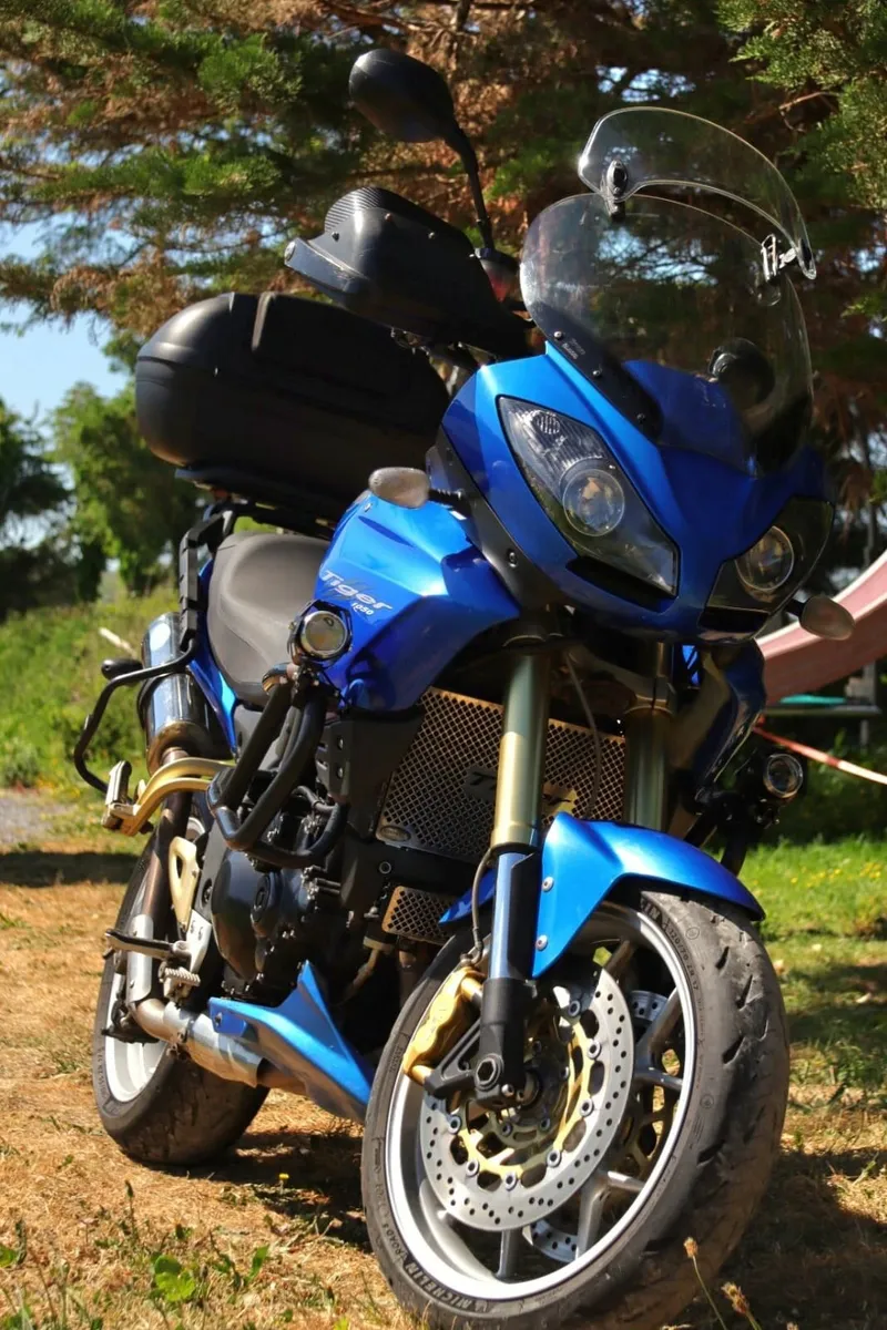 Triumph Tiger 1050 - Image 1