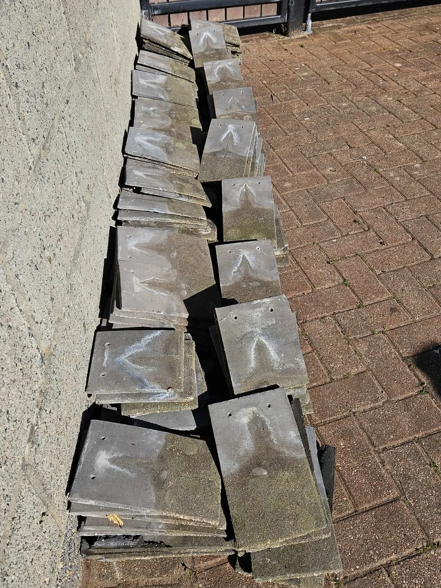 Roof tiles - Image 2