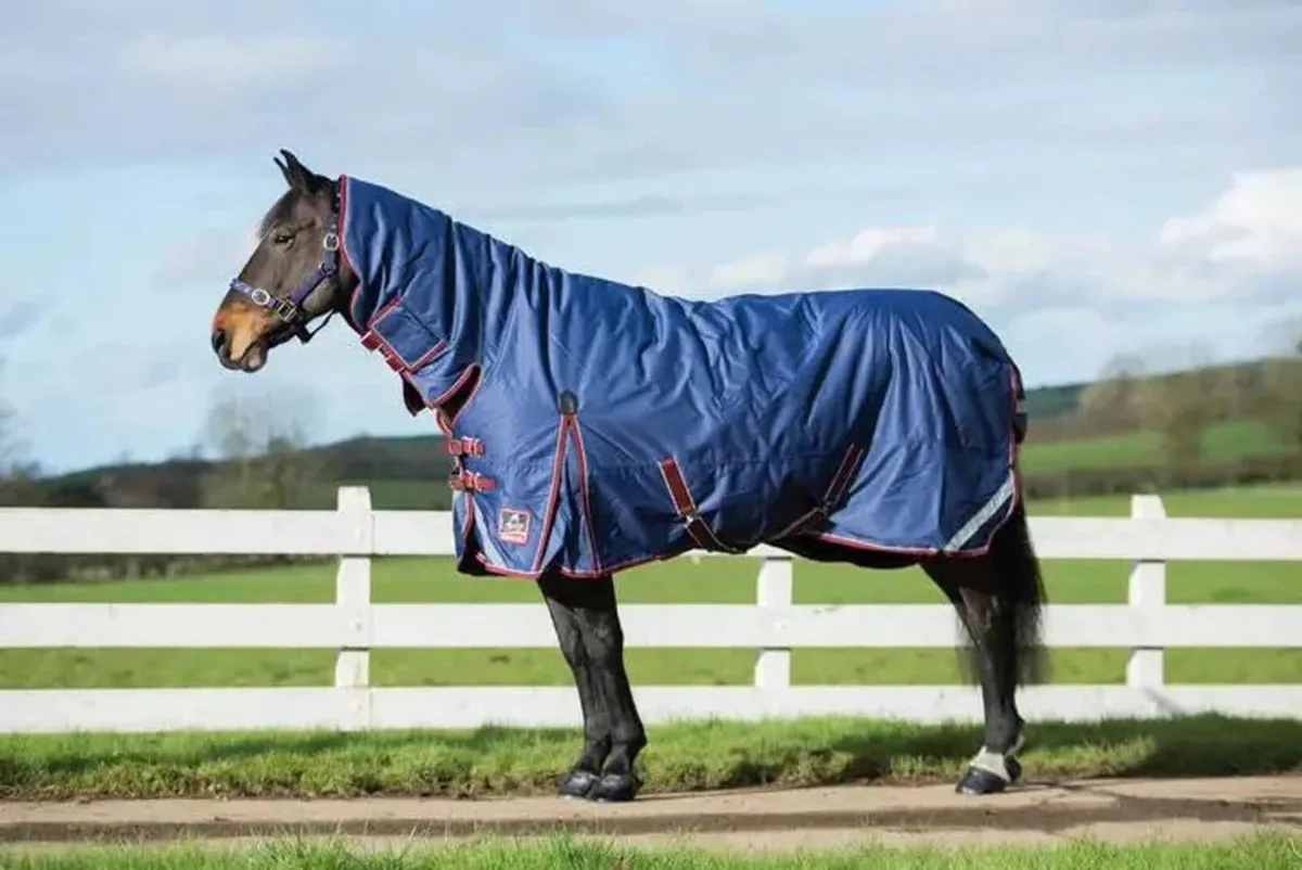Horse Rugs - Image 2