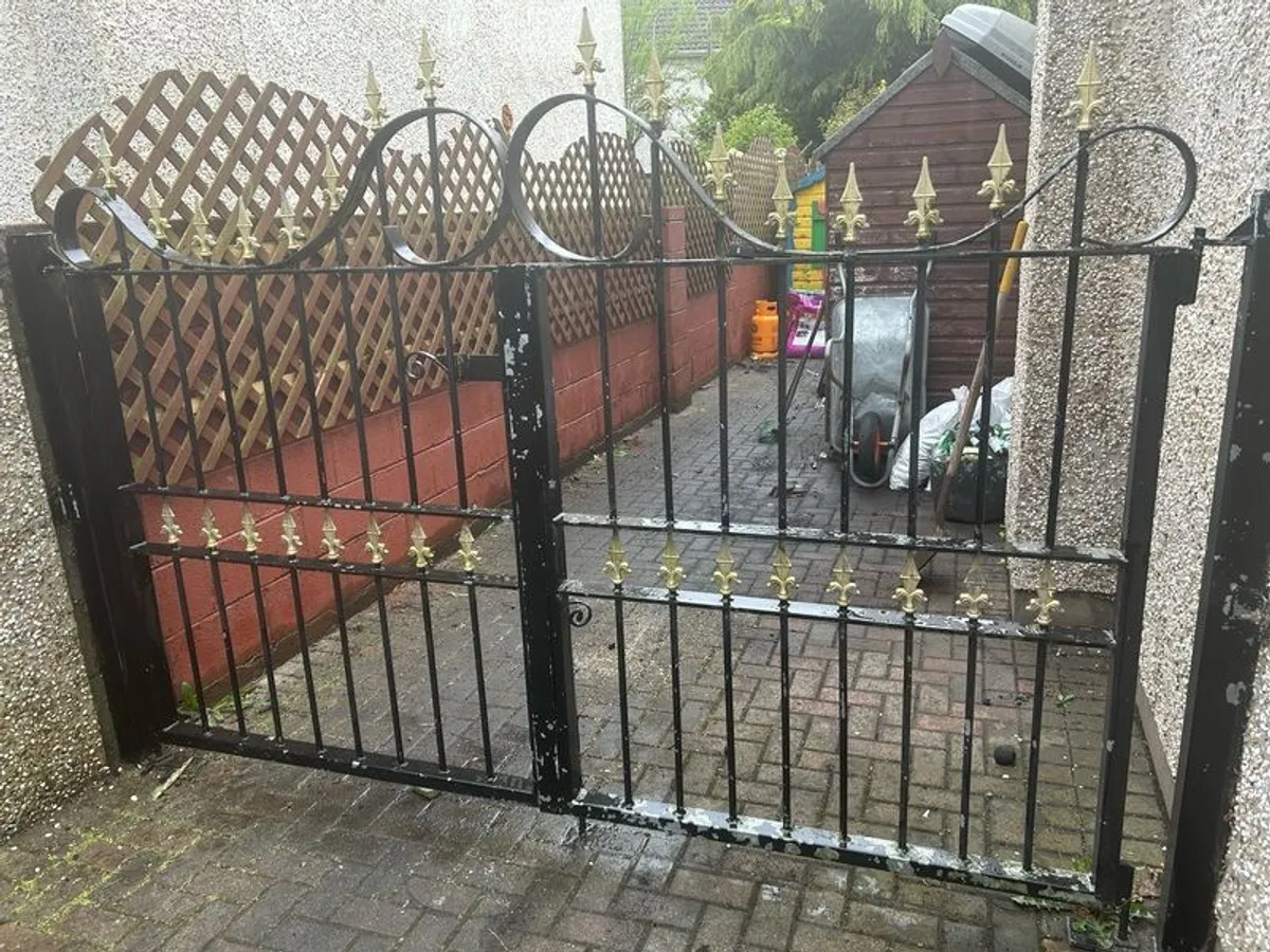 Iron Gates - Image 1