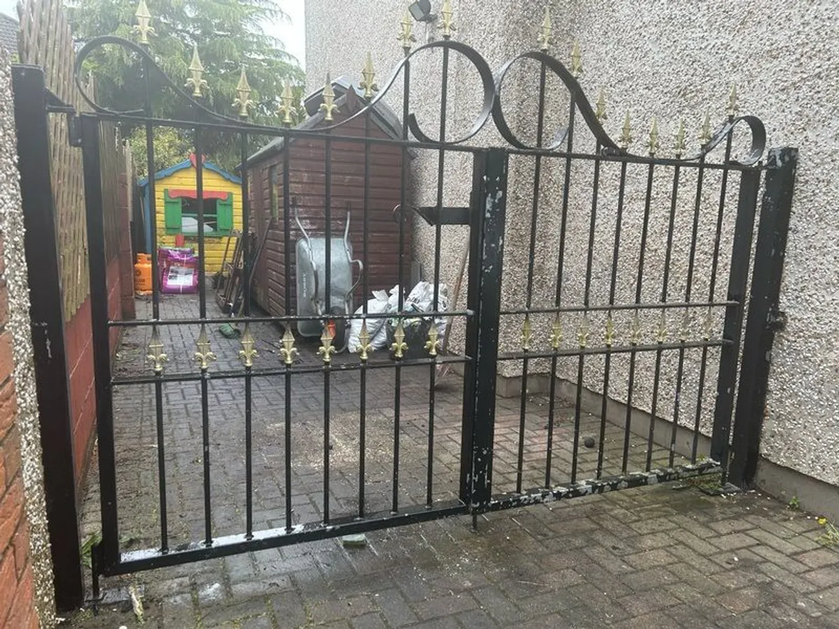 Iron Gates - Image 2