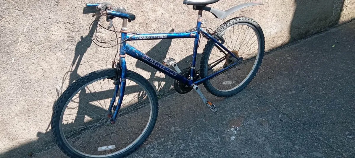 Boys bike - Image 1