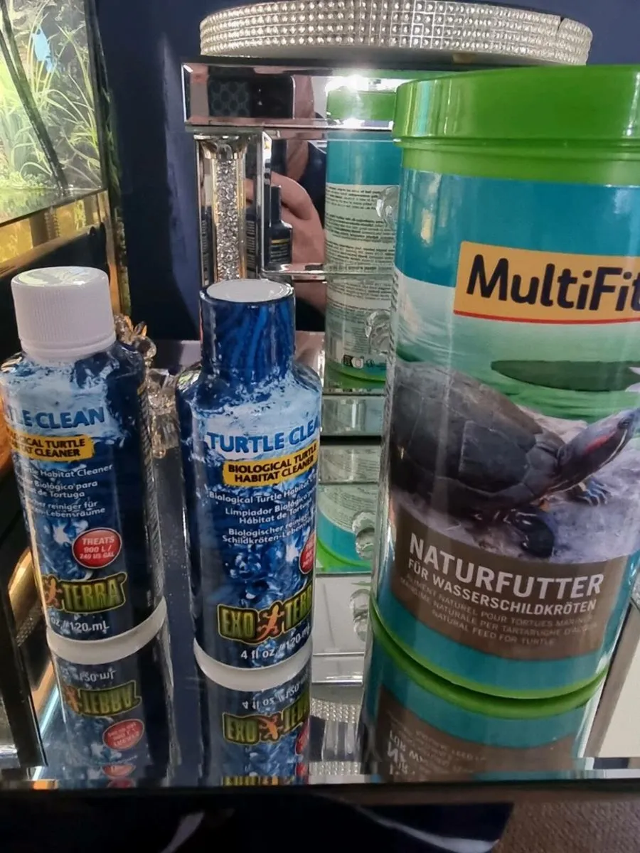 Musk turtles - Image 3