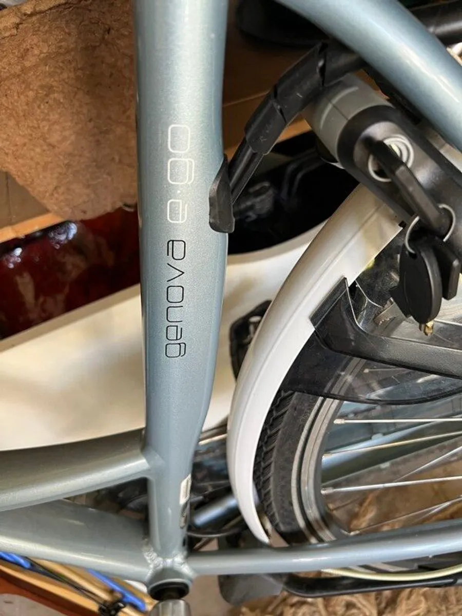 Electric Bicycle and two ORTLIEB pannier bags. - Image 3