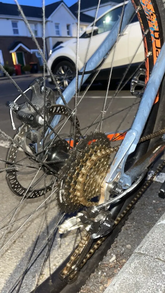 Carrera vendetta - Image 4