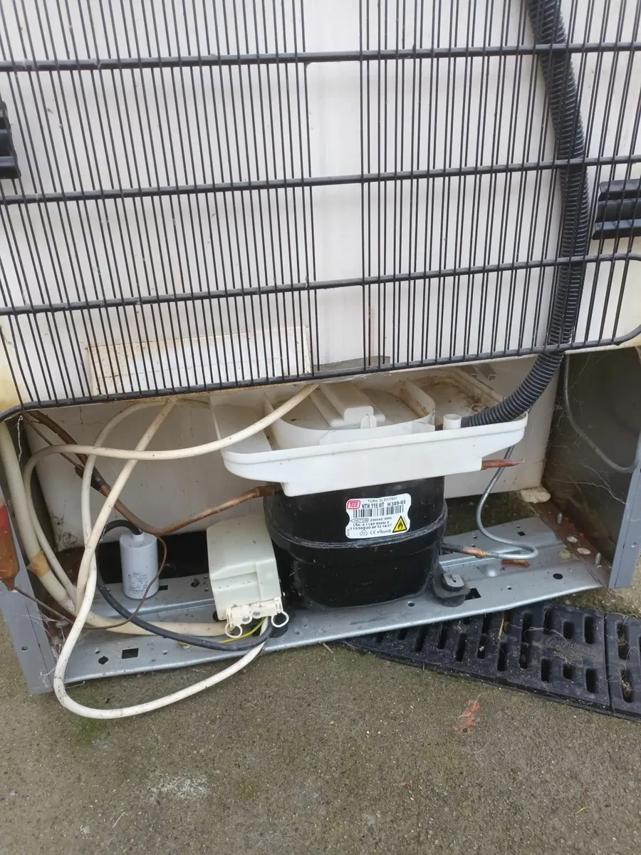 Freezer - Image 3