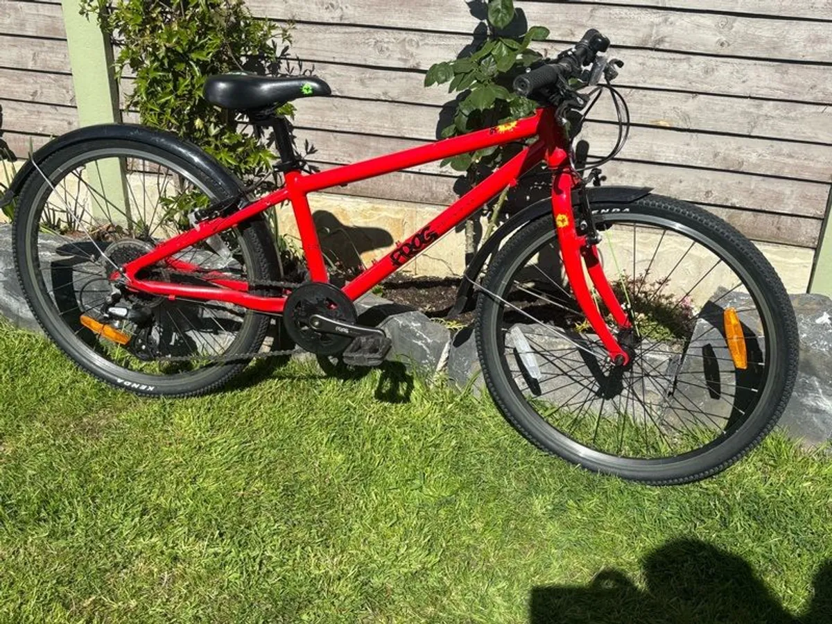 Frog bike - Image 1