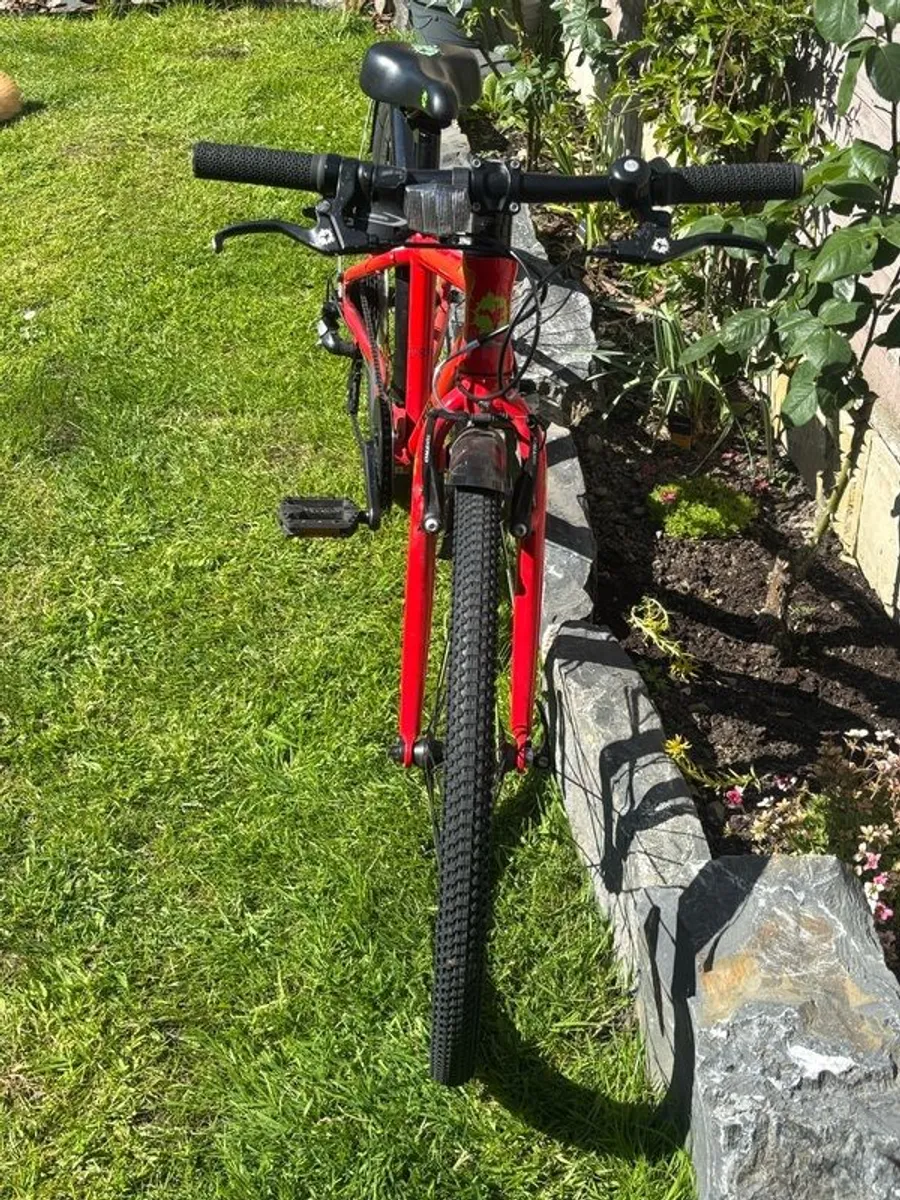 Frog bike - Image 3