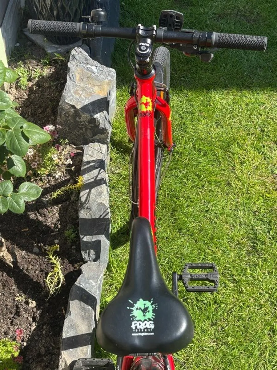 Frog bike - Image 4