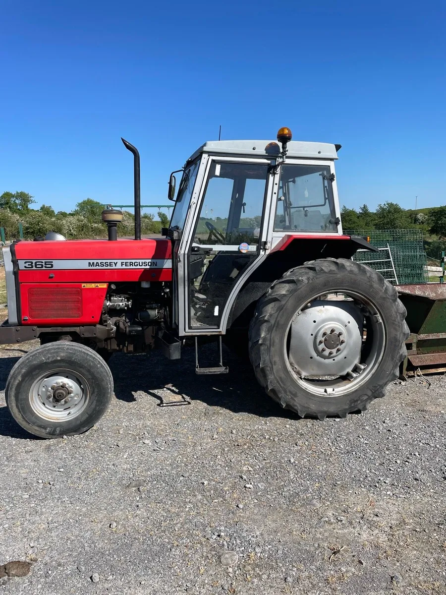 Massey Ferguson 365 - Image 2