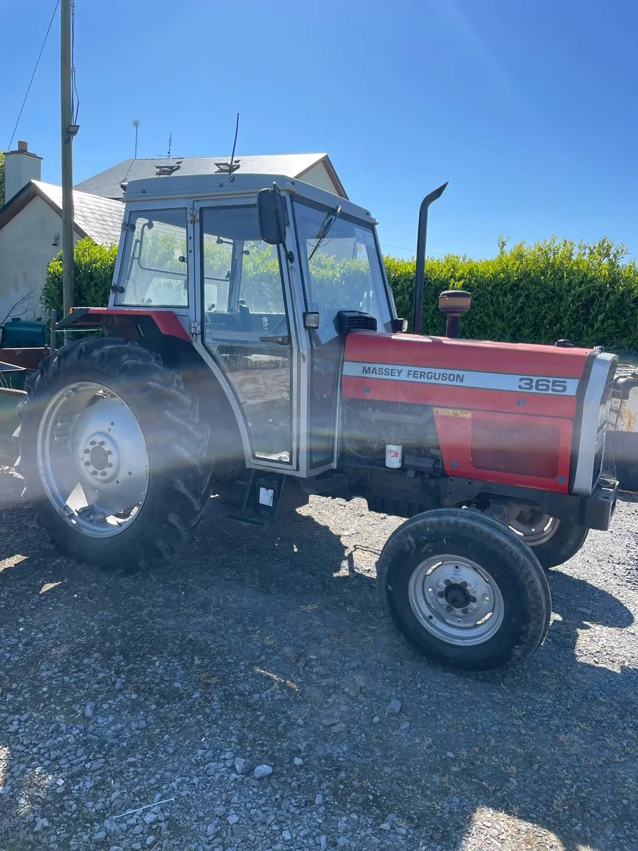 Massey Ferguson 365 - Image 3