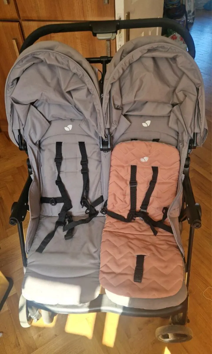 Twin buggy - Image 1