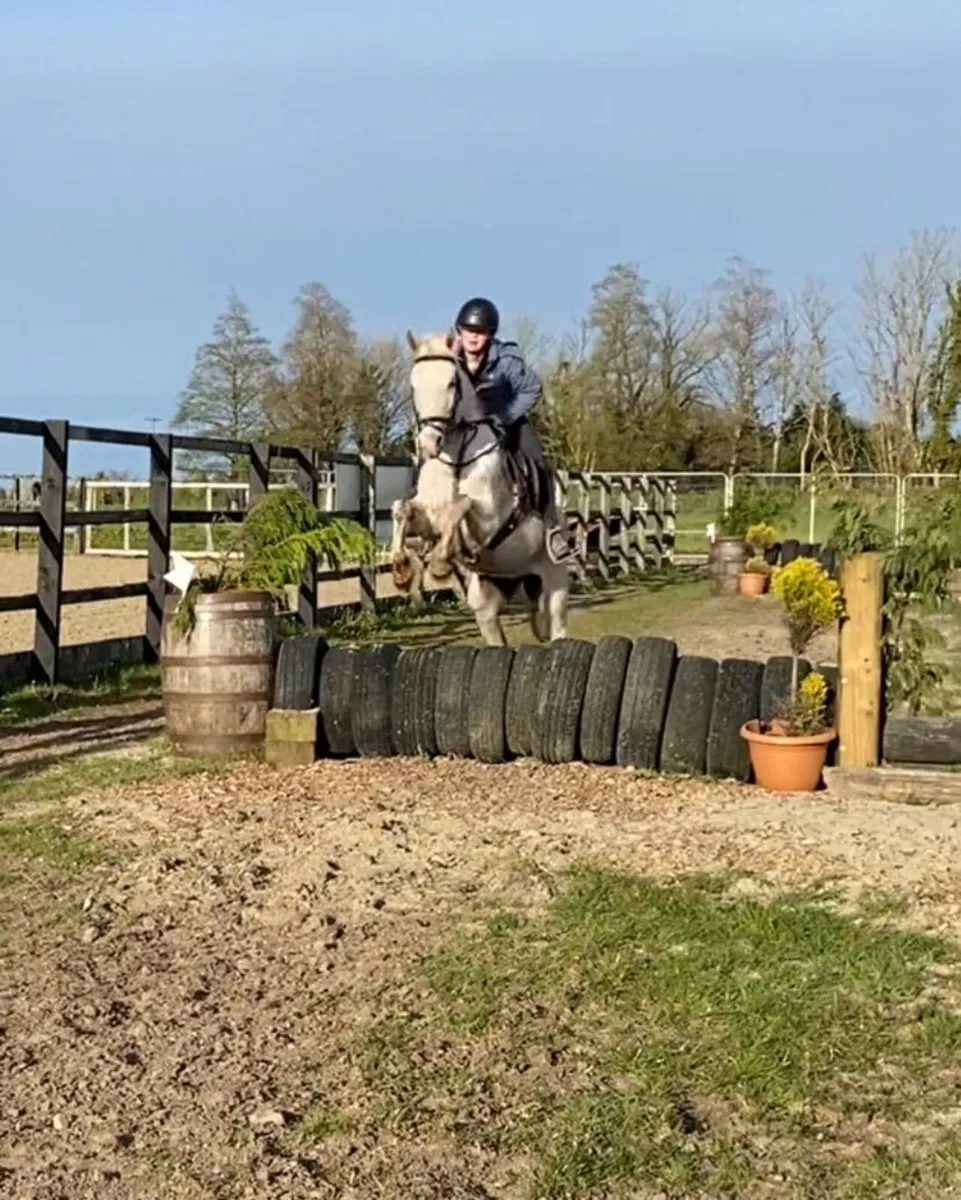 Pony for sale - Image 1