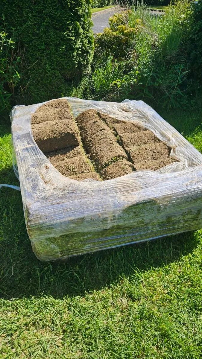 Roll out lawn turf - Image 1