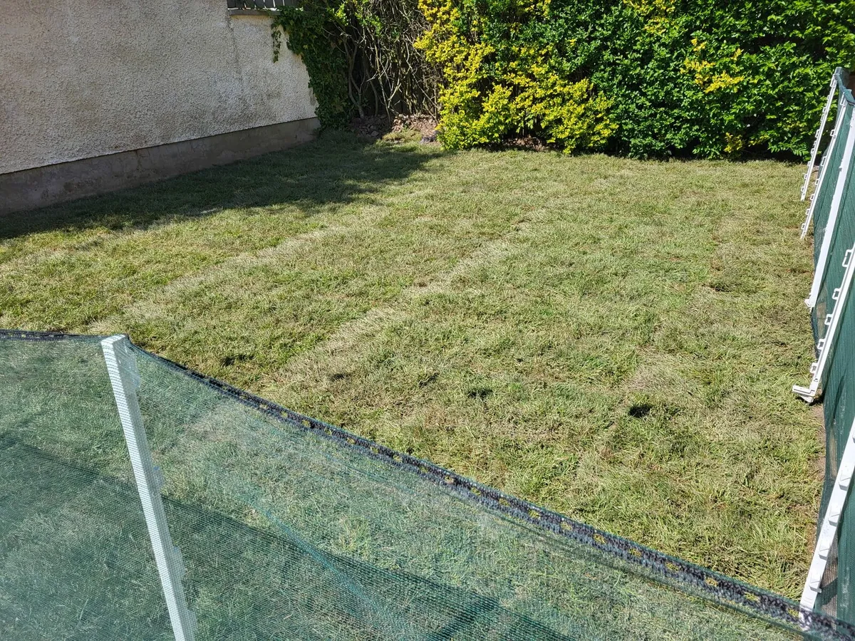 Roll out lawn turf - Image 2
