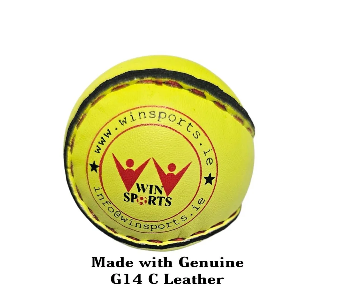 Sliotars - Image 1